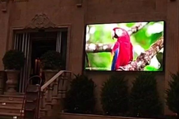 قیمت تلویزیون شهری